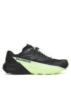 Salomon Pantofi pentru alergare Pulsar L47887800