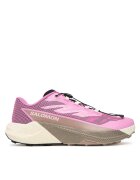 Salomon Pantofi pentru alergare Pulsar L47973400