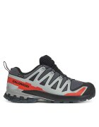 Salomon Trekkings Xa Pro 3D V9 Gore-Tex L47817500