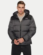 Schott NYC Geacă de iarnă UTAH2 Gri Regular Fit