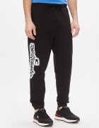 Tommy Jeans Pantaloni trening Tjm Reg Tommy Spray Sweatpant DM0DM18376 Regular Fit