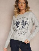 acajo Pulover Gri deschis Decorat cu model brodat cu păsări Inarielle
