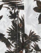 bludeise Rochie din bumbac cu imprimeu vegetal croială de cămașă și tip cravată Beithes Maro