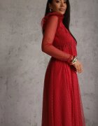 elsa.m by may Rochie Bordo cu Dantelă și Tul Welvia