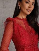 elsa.m by may Rochie Bordo cu Dantelă și Tul Welvia