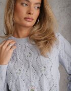 moni&co Pulover Albastru deschis Clasic cu Mânecă Lungă și cu flori brodate Hadriela