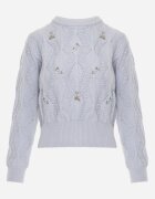 moni&co Pulover Albastru deschis Clasic cu Mânecă Lungă și cu flori brodate Hadriela