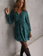 rosa Rochie Albastră Oreithinca