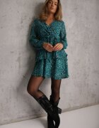 rosa Rochie Albastră Oreithinca