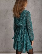 rosa Rochie Albastră Oreithinca