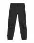 4F Pantaloni sport 'FNK' negru - Pled.ro