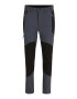 4F Pantaloni sport gri / gri metalic - Pled.ro