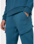 4F Pantaloni sport 'SPMD011' verde petrol - Pled.ro