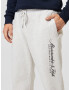 Abercrombie & Fitch Pantaloni albastru / gri amestecat - Pled.ro