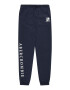 Abercrombie & Fitch Pantaloni bleumarin / alb - Pled.ro