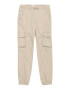 Abercrombie & Fitch Pantaloni grej - Pled.ro