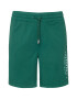 Abercrombie & Fitch Pantaloni verde / alb - Pled.ro