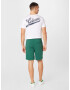 Abercrombie & Fitch Pantaloni verde / alb - Pled.ro