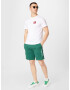 Abercrombie & Fitch Pantaloni verde / alb - Pled.ro