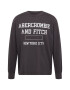 Abercrombie & Fitch Tricou gri închis / alb - Pled.ro