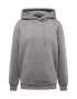 ABOUT YOU Bluză de molton 'Dian Hoodie' gri metalic - Pled.ro