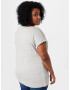 ABOUT YOU Curvy Tricou 'Glenn' gri amestecat - Pled.ro