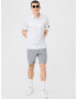 ADIDAS GOLF Pantaloni sport gri - Pled.ro