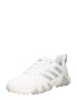 ADIDAS GOLF Pantofi sport 'CODECHAOS 22' gri / alb - Pled.ro