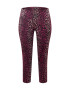 ADIDAS ORIGINALS Leggings portocaliu / roșu / roșu bordeaux - Pled.ro