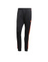 ADIDAS ORIGINALS Pantaloni 'Adicolor Classics Sst' portocaliu / negru - Pled.ro