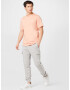 ADIDAS ORIGINALS Pantaloni 'Adicolor Classics 3-Stripes ' gri amestecat / alb - Pled.ro