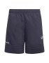 ADIDAS ORIGINALS Pantaloni 'SPRT' albastru / alb - Pled.ro