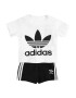 ADIDAS ORIGINALS Set 'Trefoil' negru / alb - Pled.ro