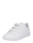 ADIDAS ORIGINALS Sneaker 'Stan Smith' turcoaz / albastru închis / mov prună / alb - Pled.ro