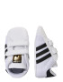 ADIDAS ORIGINALS Sneaker 'Superstar' negru / alb - Pled.ro