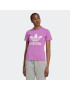 ADIDAS ORIGINALS Tricou lila / alb - Pled.ro