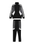 ADIDAS SPORTSWEAR Costum de trening gri / negru / alb - Pled.ro