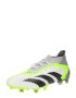 ADIDAS PERFORMANCE Ghete de fotbal 'Predator Accuracy.1' gri fumuriu / verde neon / negru / alb - Pled.ro