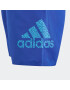 ADIDAS PERFORMANCE Modă de plajă sport 'Logo Clx' albastru / turcoaz - Pled.ro