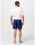 ADIDAS PERFORMANCE Pantaloni sport 'Train Essentials ' albastru regal / alb - Pled.ro