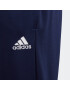 ADIDAS PERFORMANCE Pantaloni sport 'Entrada 22' albastru / alb - Pled.ro