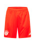 ADIDAS PERFORMANCE Pantaloni sport 'FC Bayern München' roșu orange / alb - Pled.ro