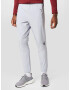 ADIDAS SPORTSWEAR Pantaloni sport gri - Pled.ro