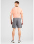 ADIDAS PERFORMANCE Pantaloni sport 'Train Essentials All Set' gri închis / alb - Pled.ro