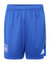 ADIDAS PERFORMANCE Pantaloni sport 'Tiro' azur / alb - Pled.ro