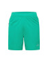 ADIDAS PERFORMANCE Pantaloni sport verde jad / alb murdar - Pled.ro