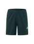 ADIDAS SPORTSWEAR Pantaloni sport 'X-City' verde pin / roz / argintiu - Pled.ro