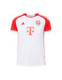 ADIDAS PERFORMANCE Tricot 'Fc Bayern 23/24' roșu / alb - Pled.ro