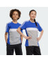 ADIDAS PERFORMANCE Tricou funcțional 'Tiberio' albastru / gri amestecat / alb - Pled.ro