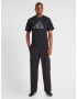 ADIDAS PERFORMANCE Tricou funcțional 'TR-ESSEA' gri metalic / gri grafit / gri bazalt / negru - Pled.ro